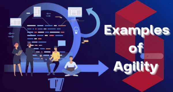 Examples of Agility - Vivid Examples