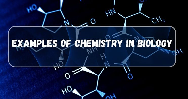 Examples of Chemistry in Biology