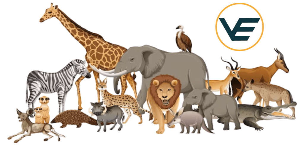 examples of wild animals