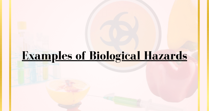 Examples of Biological Hazards