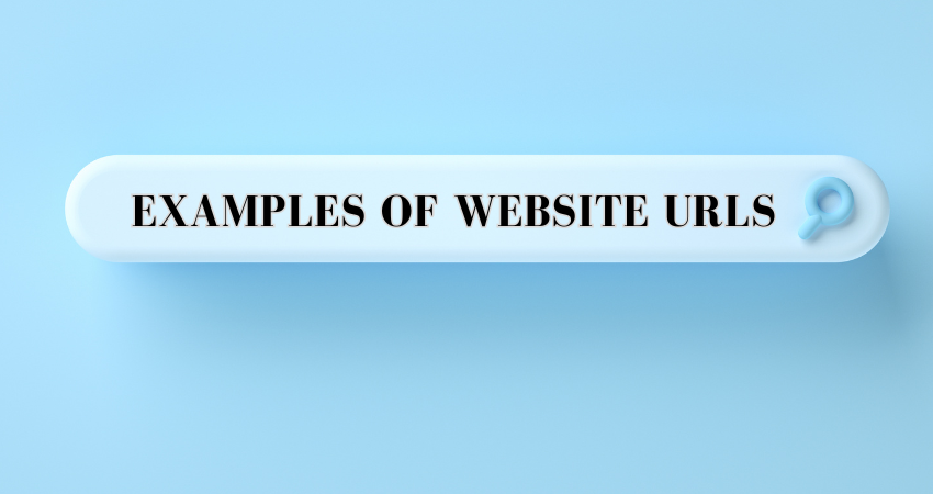 Examples of website URLs