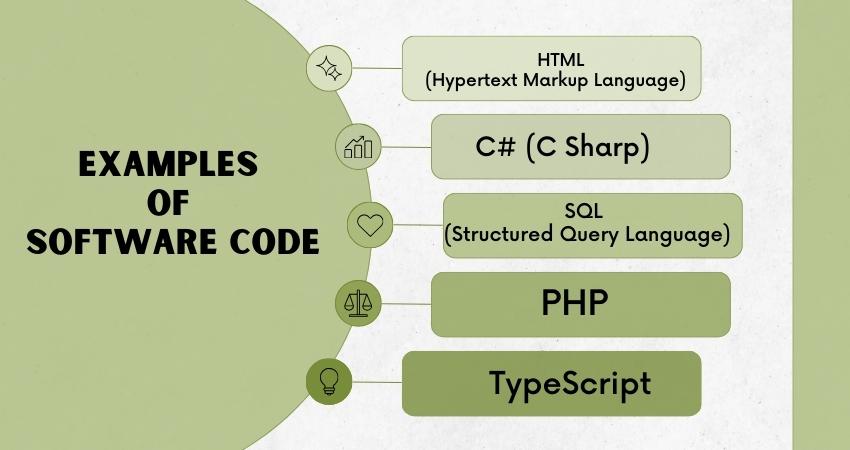 Software code and its examples