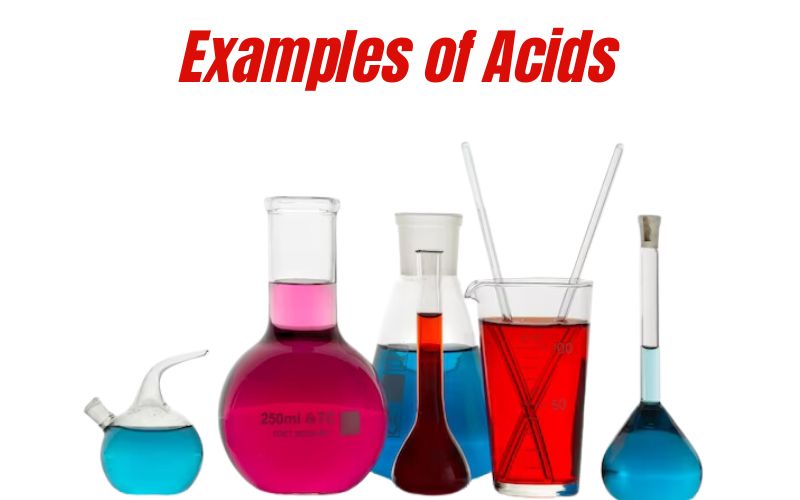 Examples of Acids