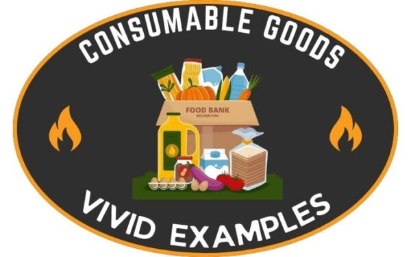 100+ Examples of Consumable Goods - Vivid Examples