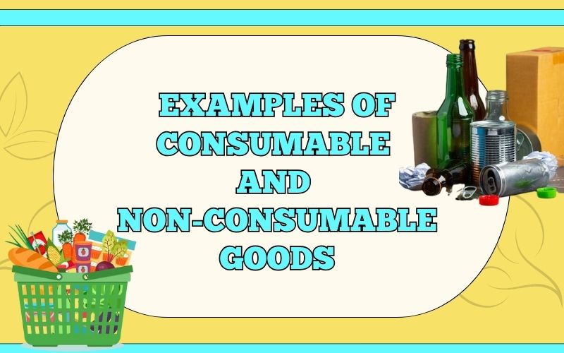 Examples of Consumable and Non-Consumable Goods