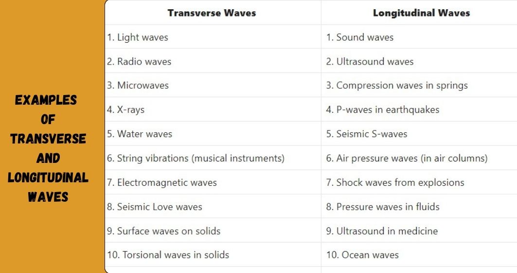 Examples of Transverse and Longitudinal waves