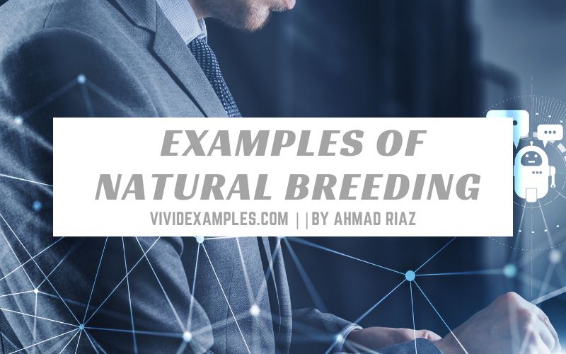examples of natural breeding