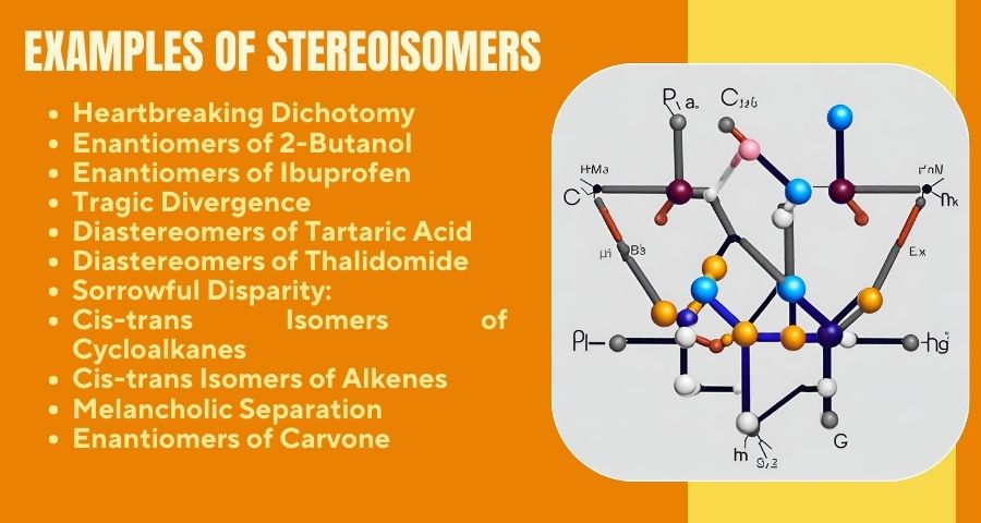 Examples of Stereoisomers