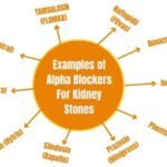 10 Examples of Alpha Blockers For Kidney Stones
