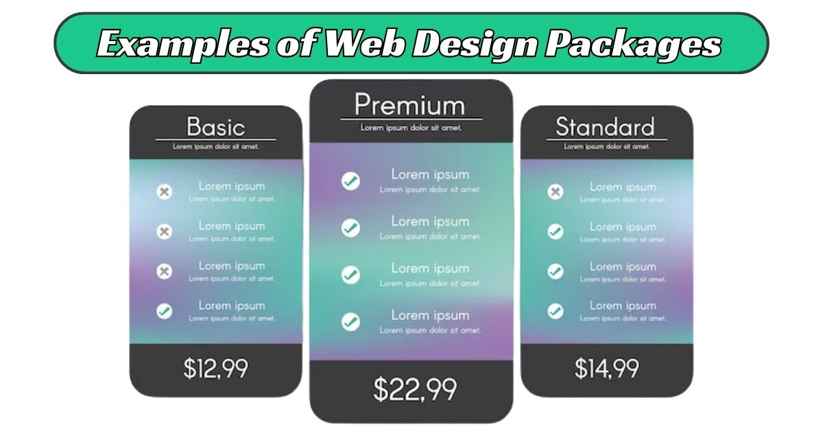 Examples of Web Design Packages